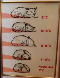 Apparently if you monitor the positions of a cat, you can gauge the room temperature